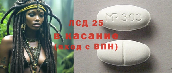 PSILOCYBIN Майский