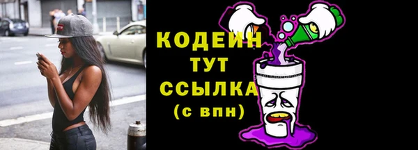 PSILOCYBIN Майский